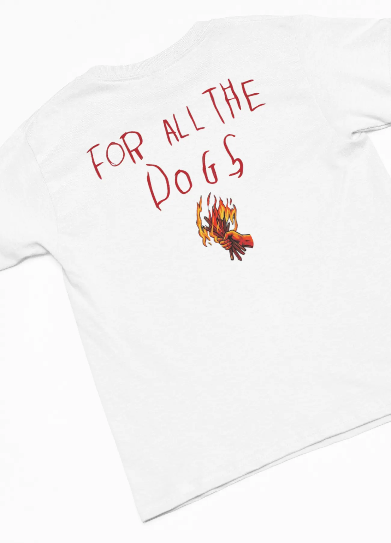 drake for all the dogs t-shirt