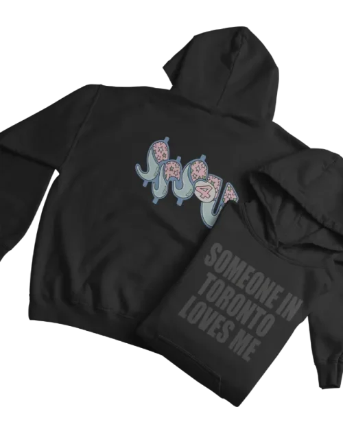 someone in toronto hoodie